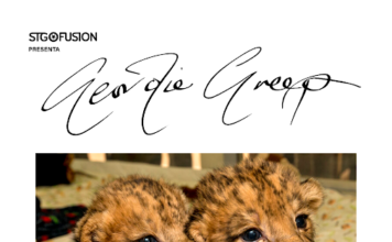 GEORDIE GREEP 13 NOV AFICHE