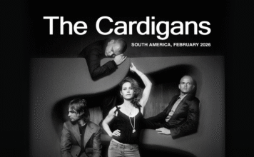 the cardigans