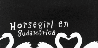 HORSEGIRL en CHILE post