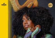 La destacada arpista del jazz Brandee Younger confirma visita a Santiago POST BRANDEE YOUNGER en CHILE