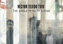 El próximo sábado 21 de febrero, Hector Tejedo Trío, referente del jazz local, ofrecerá un concierto dedicado al universo de Duke Ellington, en el ciclo Milano Jazz Club del espacio cultural barcelonés Byron. Portada The Single Petal of a Rose